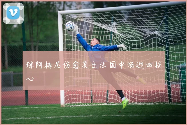 琼阿梅尼伤愈复出法国中场迎回核心